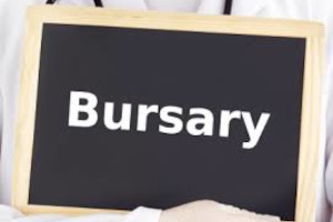 Meitheal Summer School 2023 Bursary Application